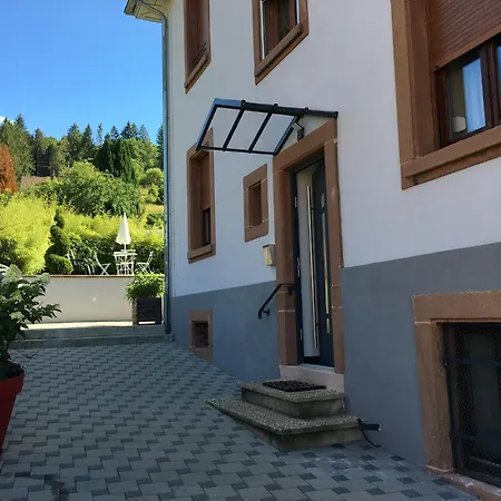Les Hortensias En Alsace - Meuble De Tourisme 3 Etoiles Apartment Barembach