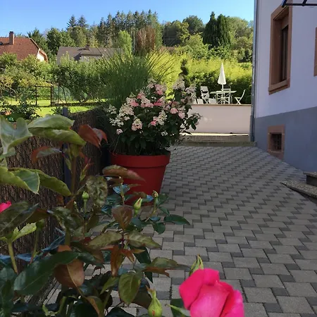 Les Hortensias En Alsace - Meuble De Tourisme 3 Etoiles