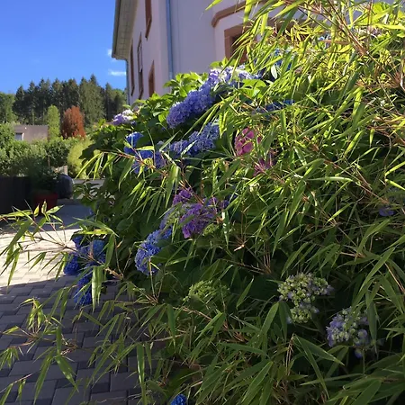 Les Hortensias En Alsace - Meuble De Tourisme 3 Etoiles Apartment