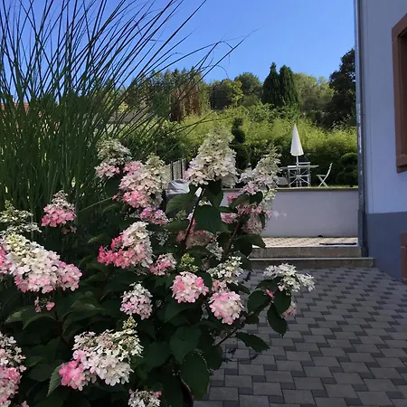 Apartment Les Hortensias En Alsace - Meuble De Tourisme 3 Etoiles *