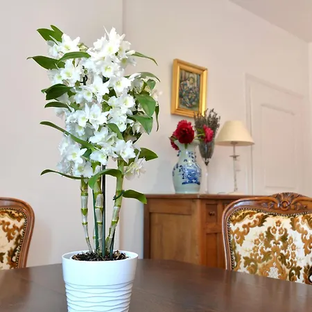 Les Hortensias En Alsace - Meuble De Tourisme 3 Etoiles *