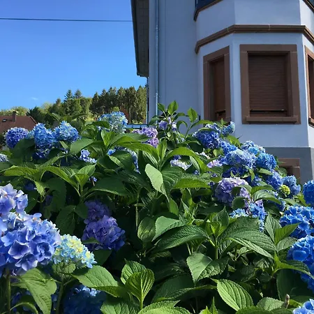 Les Hortensias En Alsace - Meuble De Tourisme 3 Etoiles