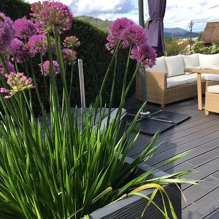 Apartment Les Hortensias En Alsace - Meuble De Tourisme 3 Etoiles *