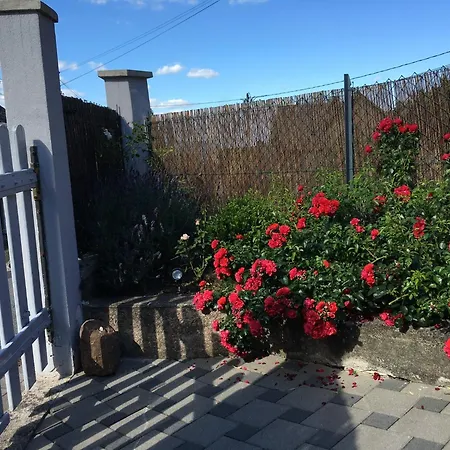 Apartment Les Hortensias En Alsace - Meuble De Tourisme 3 Etoiles Barembach