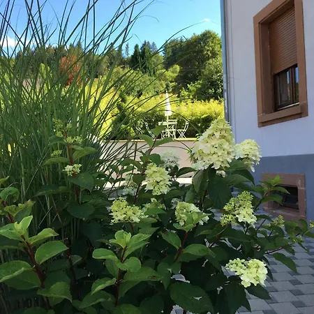 Les Hortensias En Alsace - Meuble De Tourisme 3 Etoiles Barembach