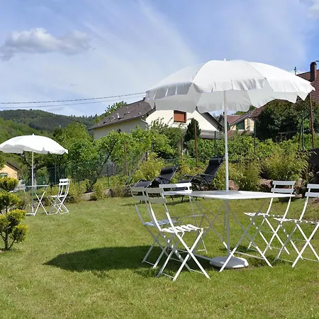 Les Hortensias En Alsace - Meuble De Tourisme 3 Etoiles * Barembach